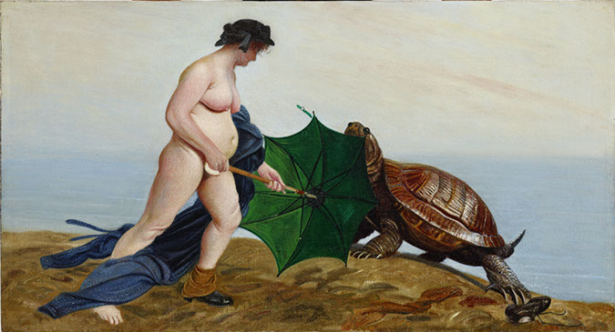 G_Schildkroete