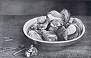 G_Steinpilze_19