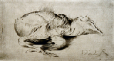 Richard M&uuml;ller Radierung 129