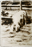 Richard M&uuml;ller Radierung 137